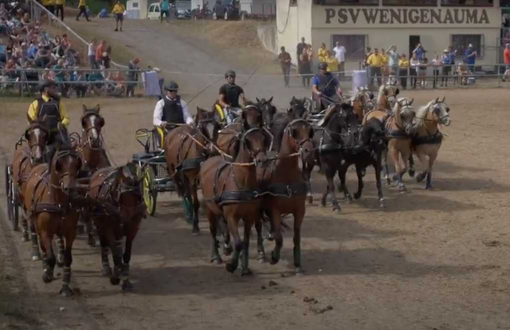 Ponyshow Wenigenauma