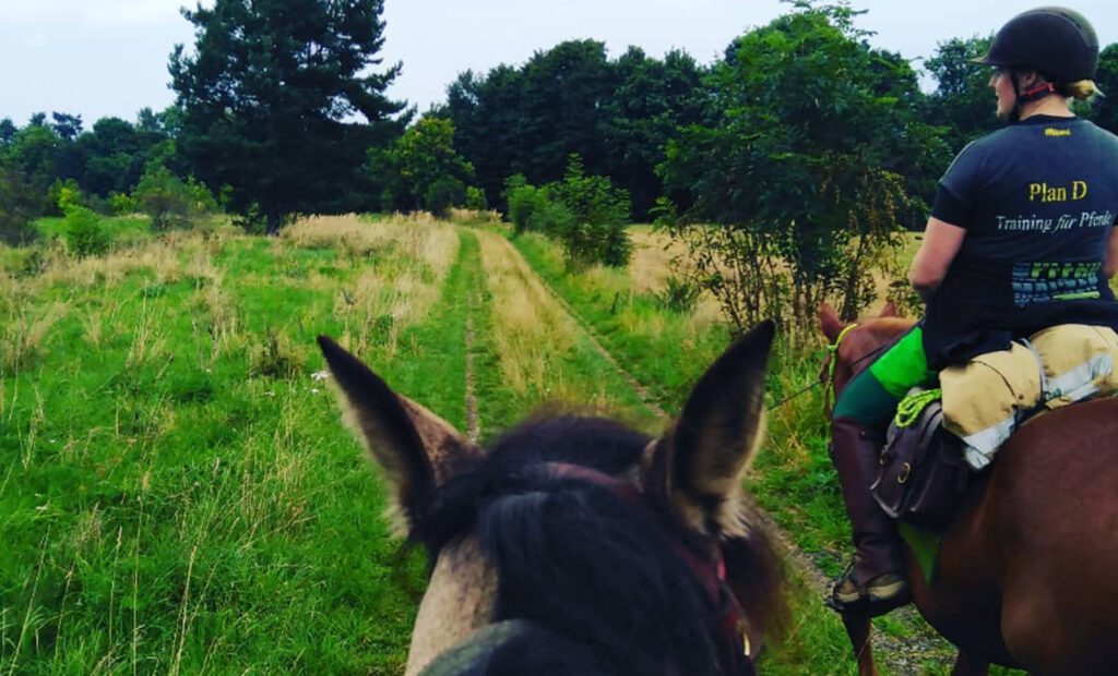 Gruenes Band mit dem Pferd