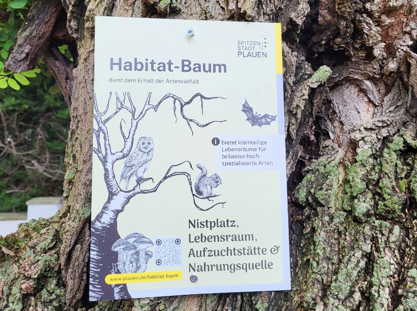 Habitat Baum Plauen