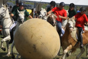 Pferdeschau Großfriesen 2024