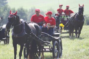 Pferdeschau Großfriesen 2024