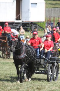 Pferdeschau Großfriesen 2024