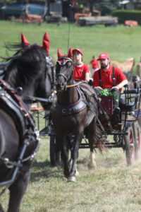 Pferdeschau Großfriesen 2024