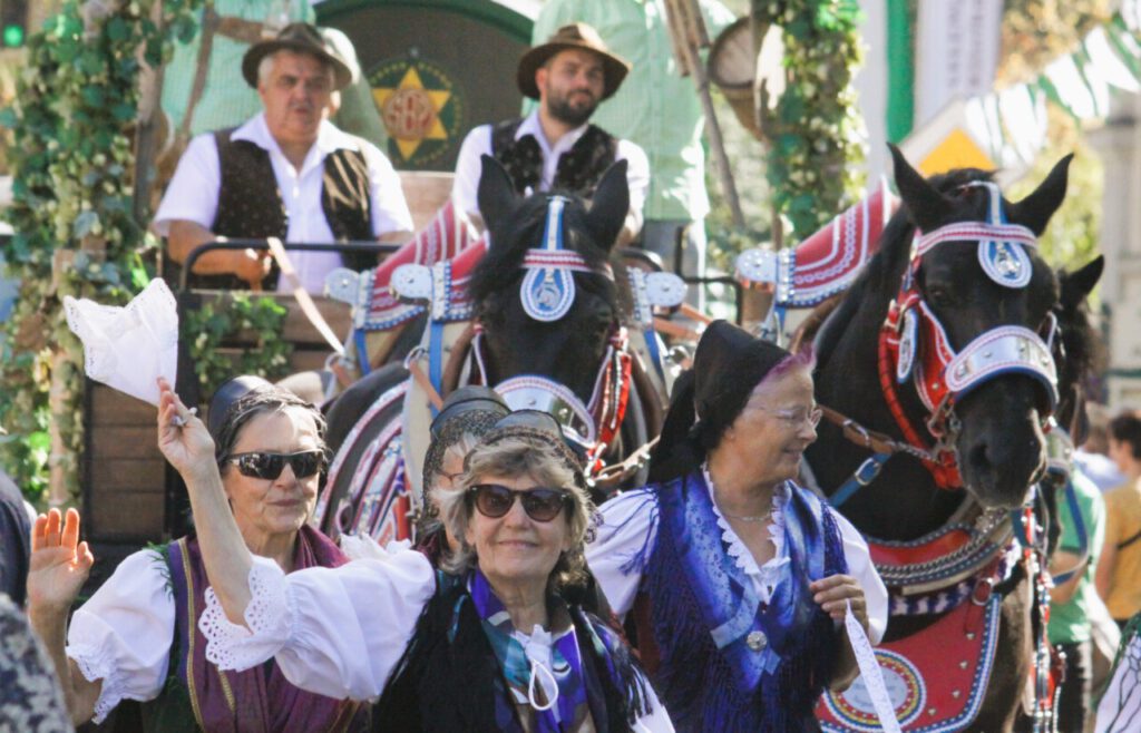 Tag der Vogtlaender 2024