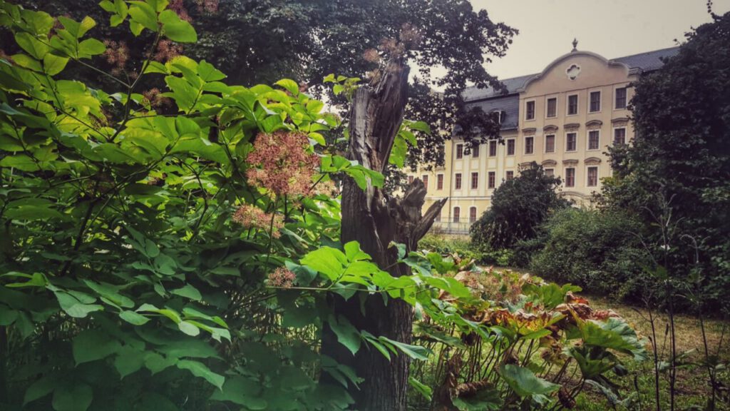 Weissbachscher Garten Plauen