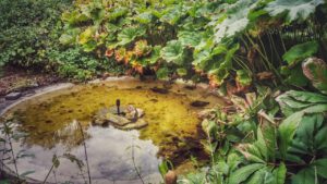 Weissbachscher Garten Plauen