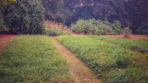 Weissbachscher Garten Plauen