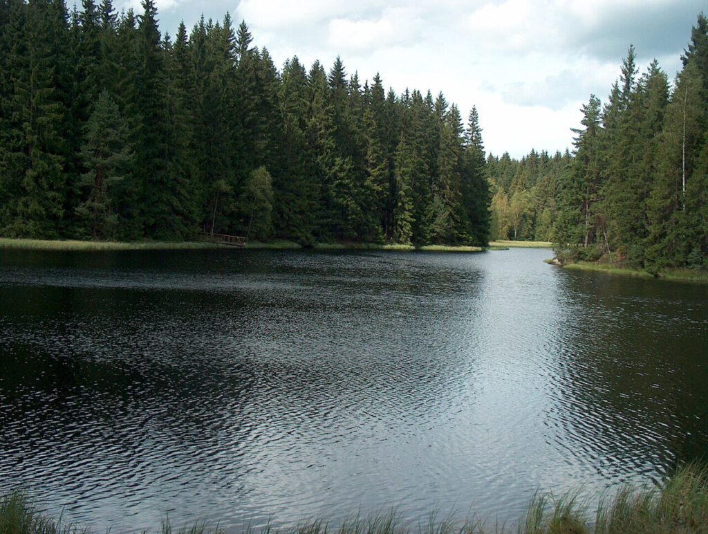 Vogtlandsee