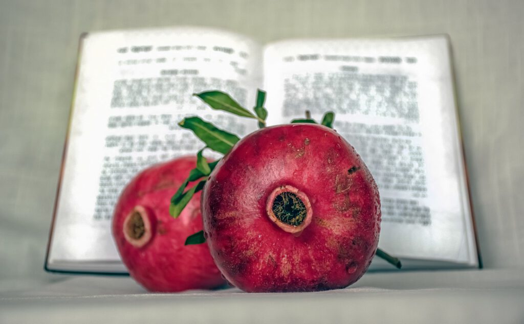 Nachrichten Vogtland