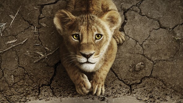 Nachrichten Vogtland