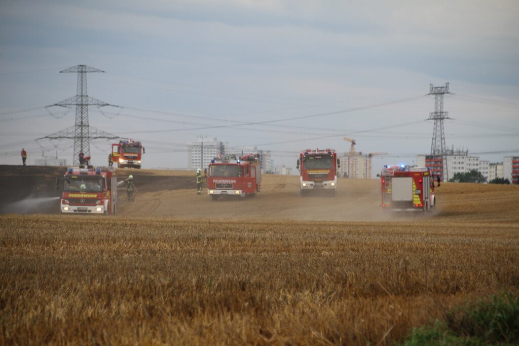 Nachrichten Vogtland