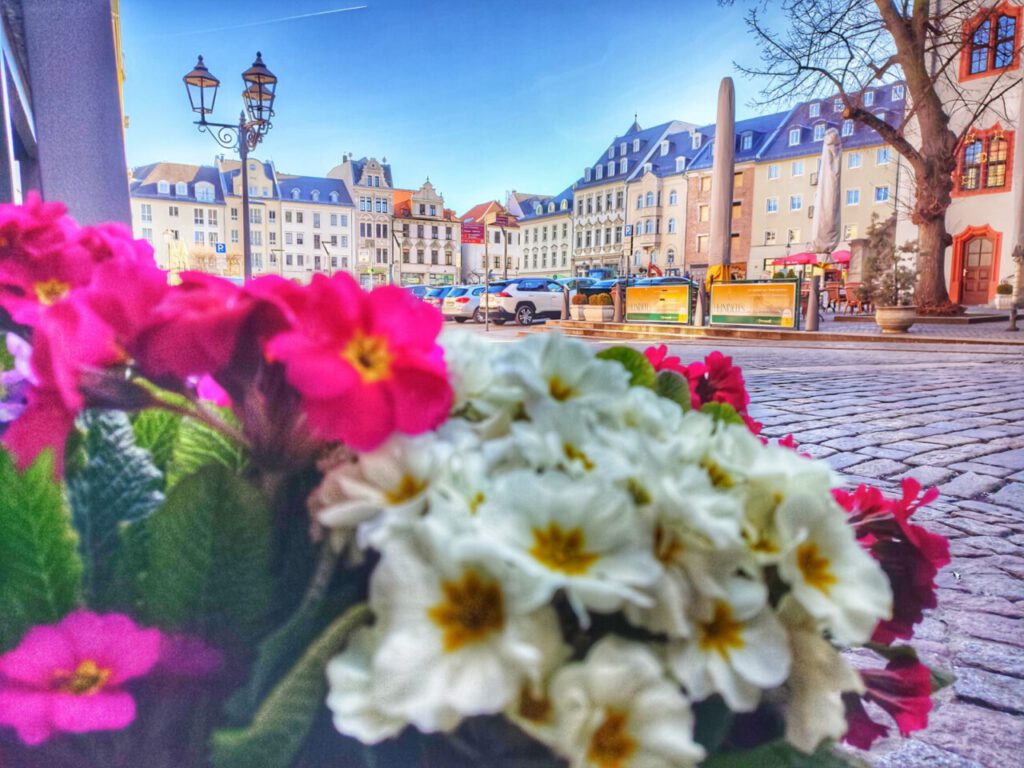 Nachrichten Vogtland