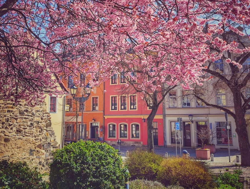 Nachrichten Vogtland