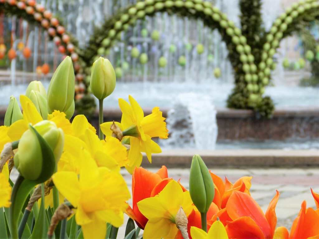 Nachrichten Vogtland