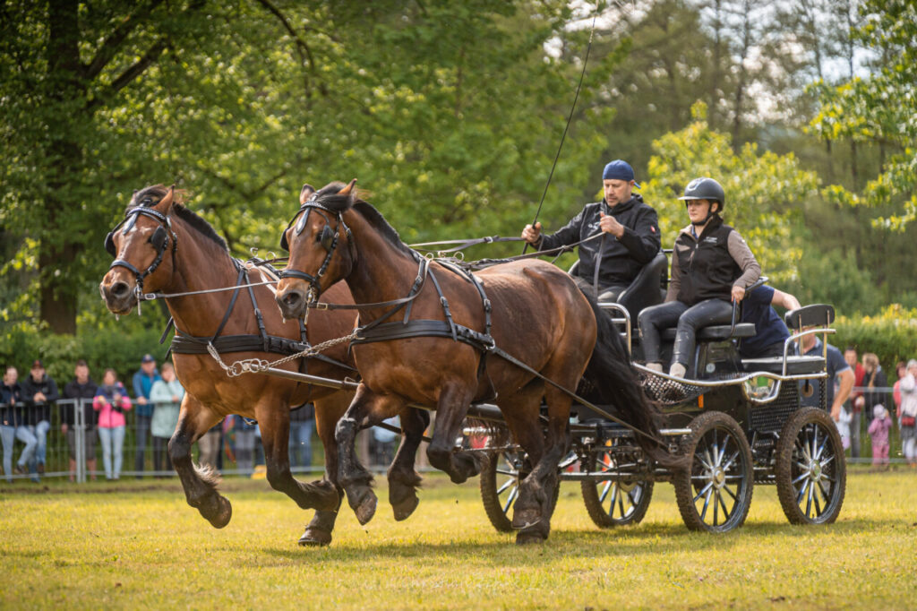 Nachrichten Vogtland