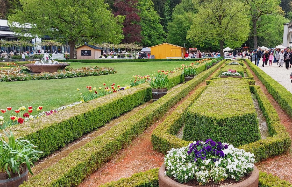 Knigliche Bltenpracht beim Rhododendronfest in Bad Elster zieht viele  Menschen an - Vogtlandstreicher