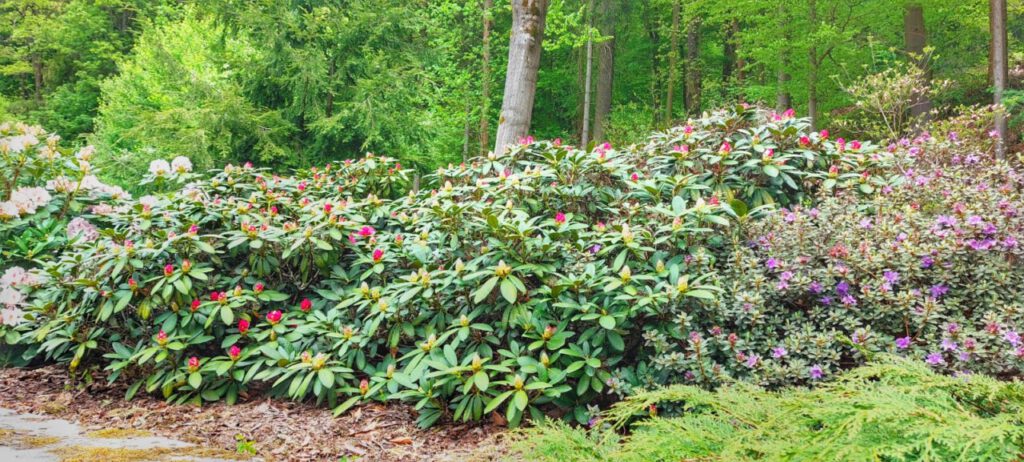 Nachrichten Vogtland