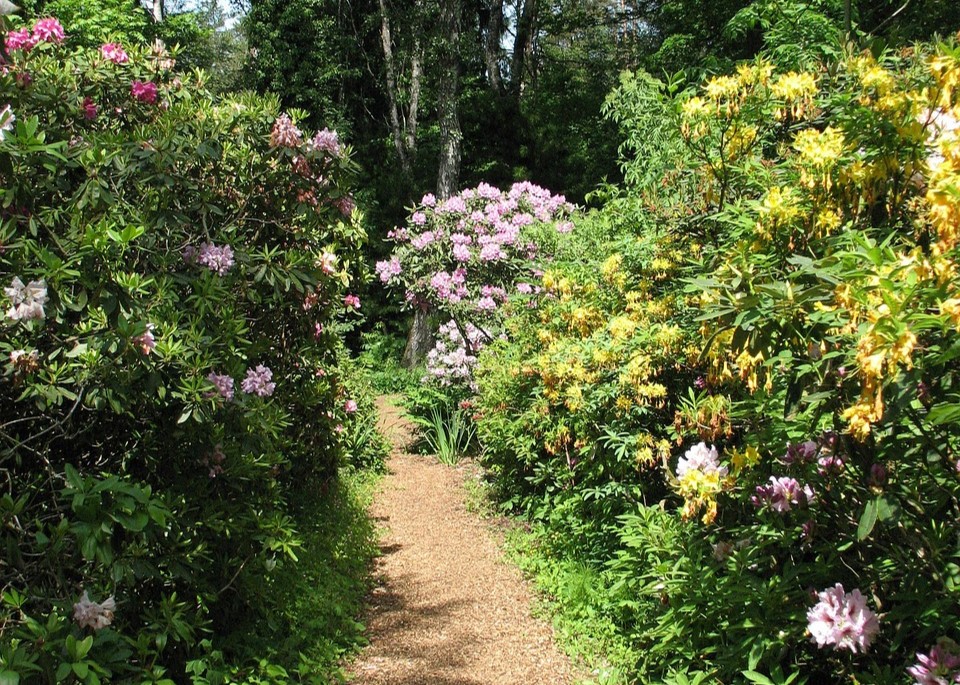 Nachrichten Vogtland