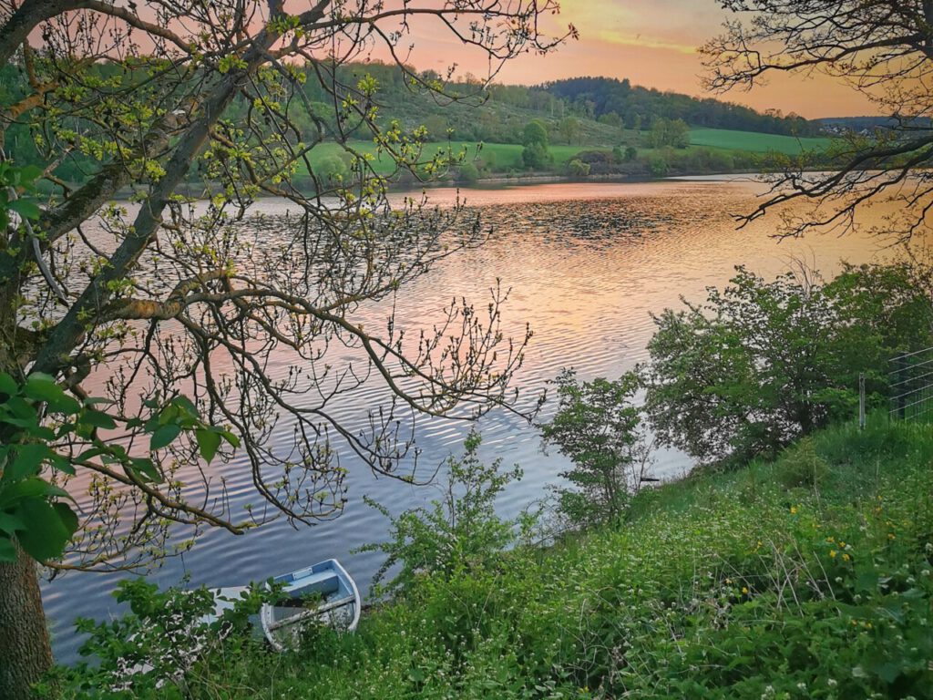 Nachrichten Vogtland