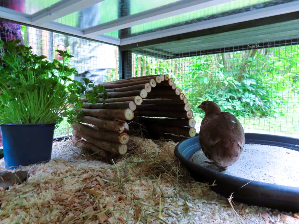 Nachrichten Vogtland