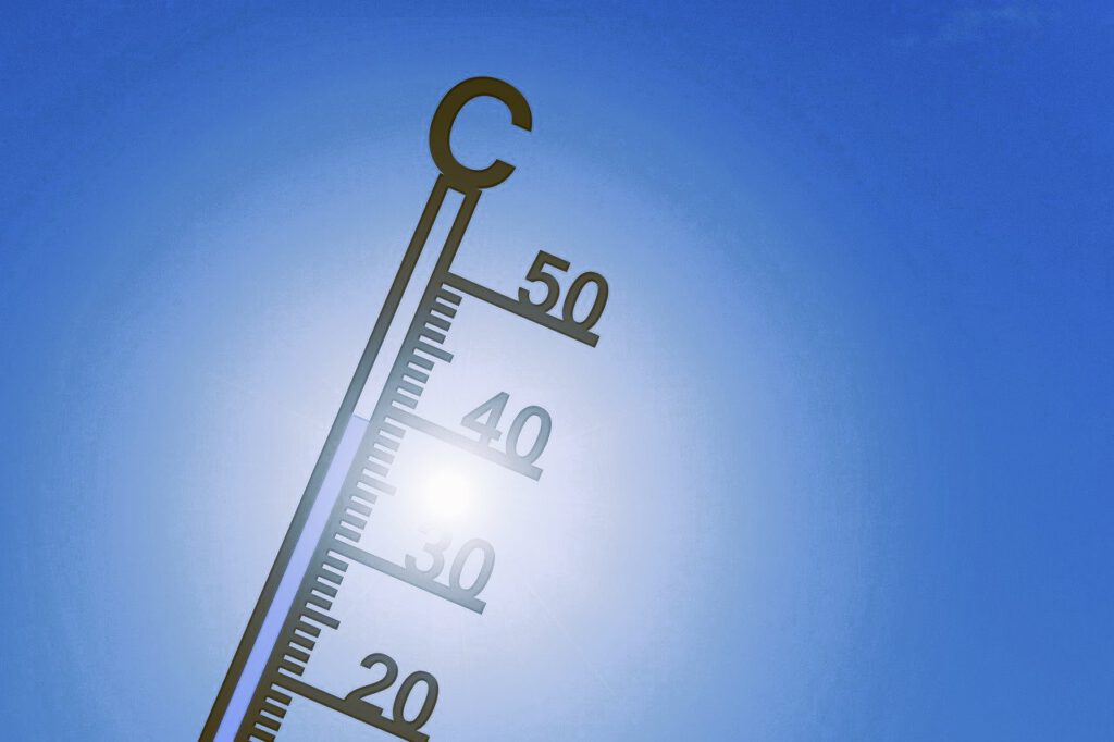 Nachrichten Vogtland