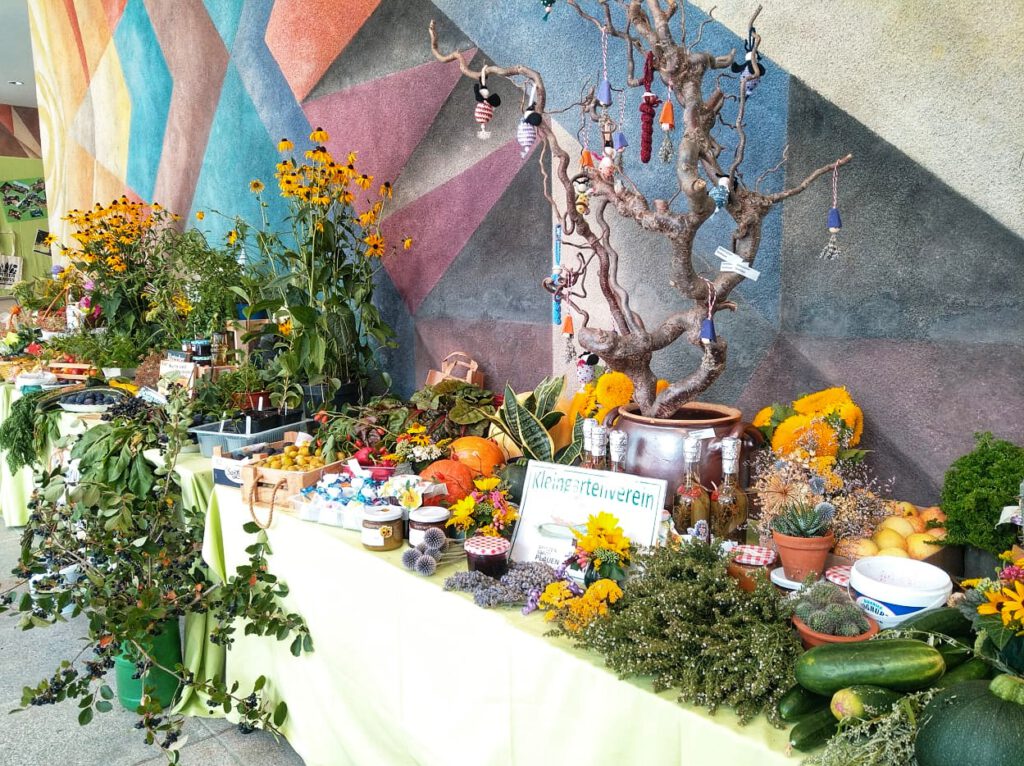 Nachrichten Vogtland