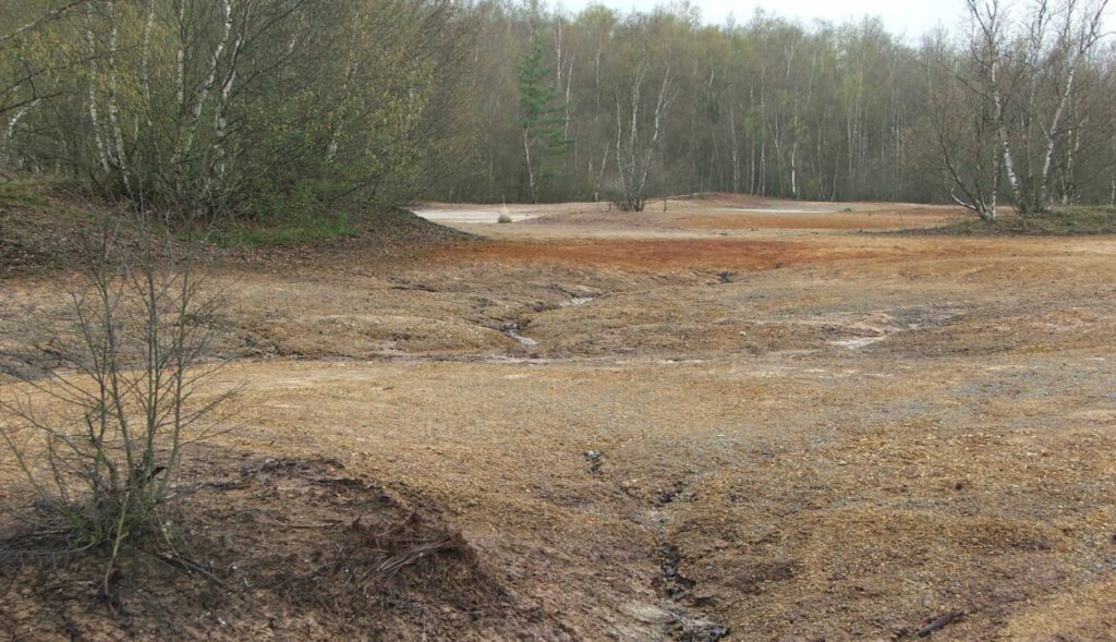 Erdbeben Vogtland Forschung
