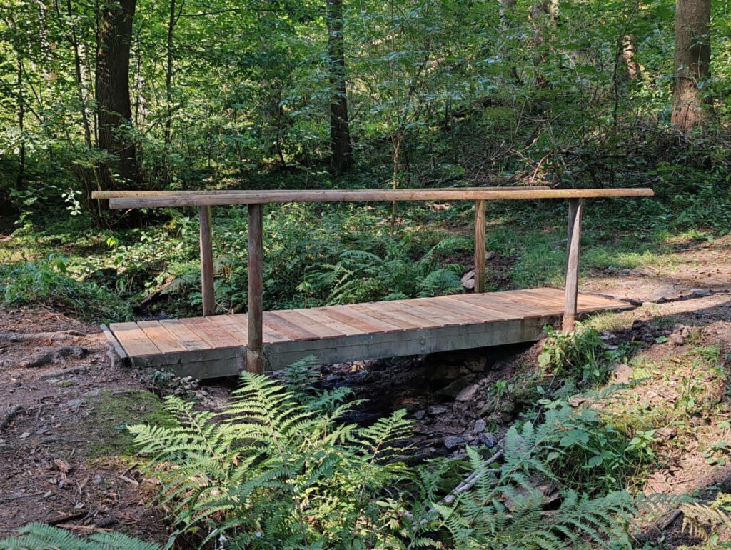 Nachrichten Vogtland