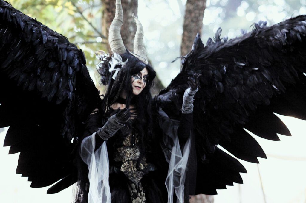 Nachrichten Vogtland