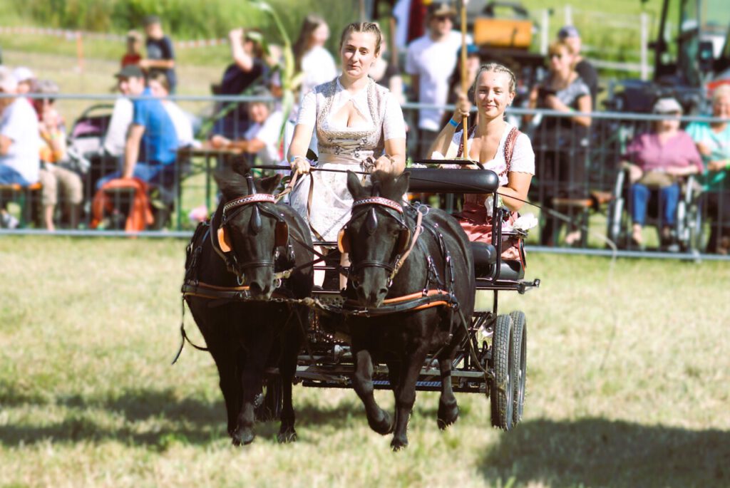 Nachrichten Vogtland