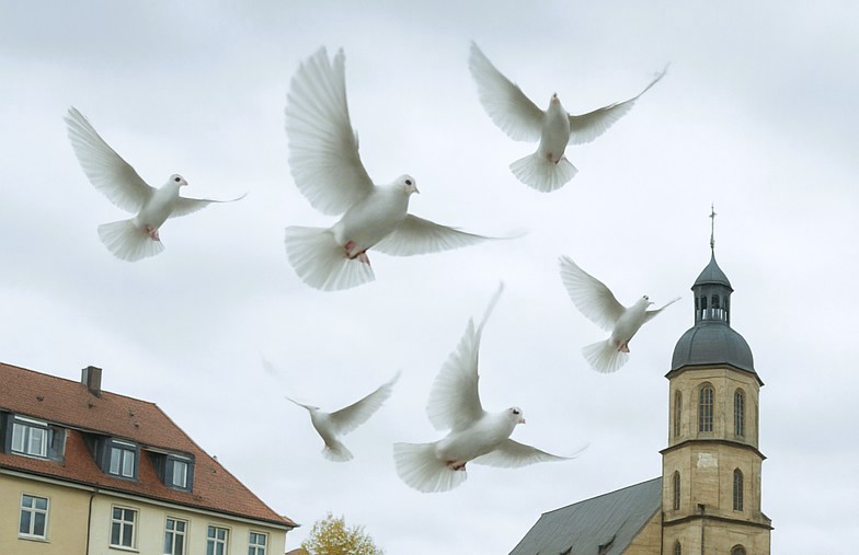 Nachrichten Vogtland