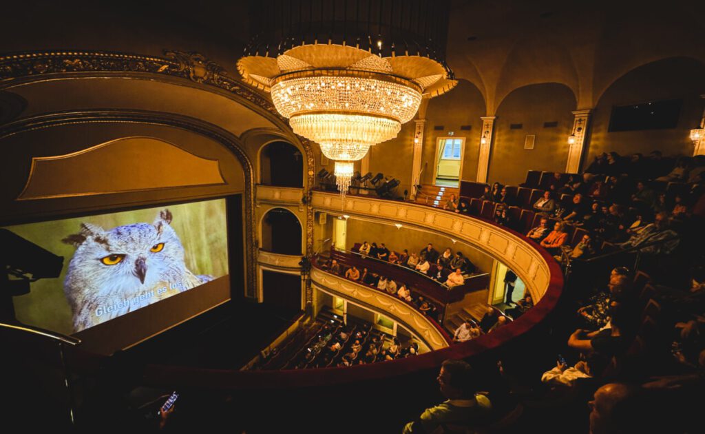 Vogtlandstreicher Nachrichten Vogtland