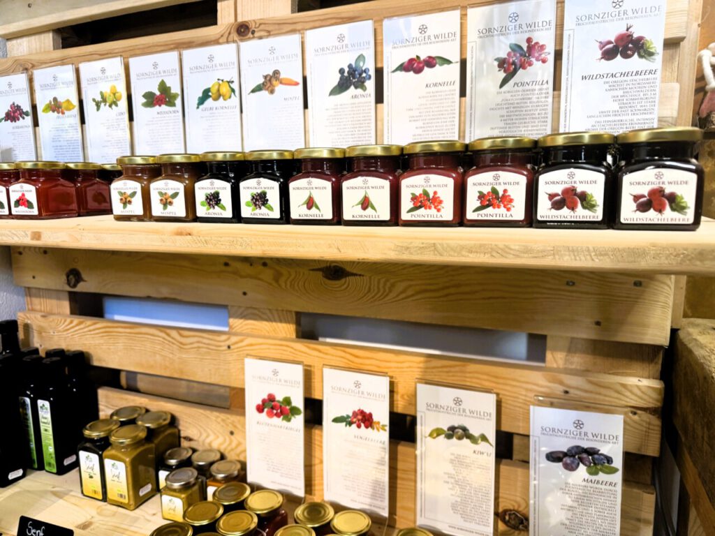 Nachrichten Vogtland