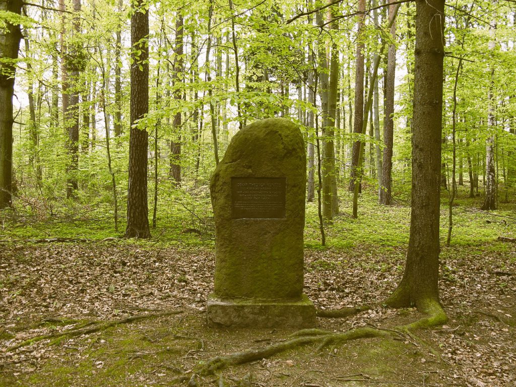 Nachrichten Vogtland