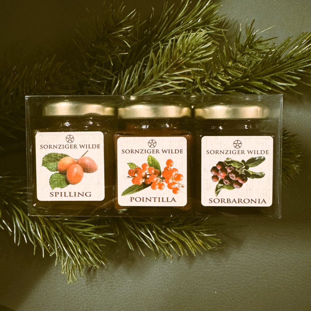 Nachrichten Vogtland