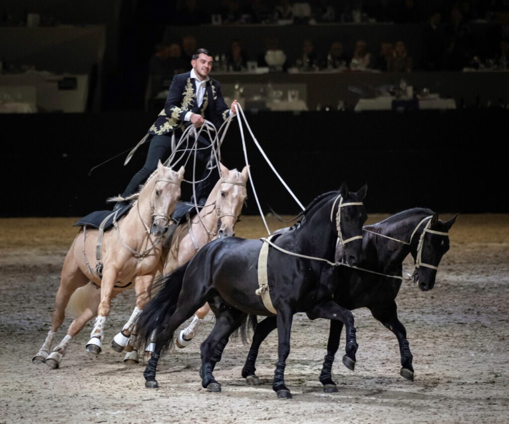 Vogtlandstreicher Nachrichten Vogtland