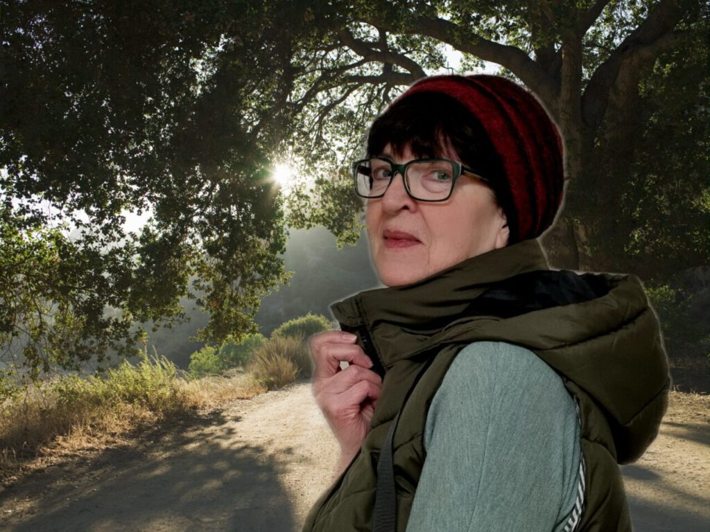 Nachrichten Vogtland