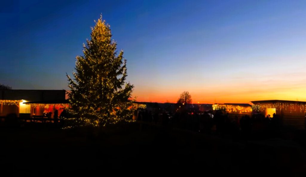 Nachrichten Vogtland