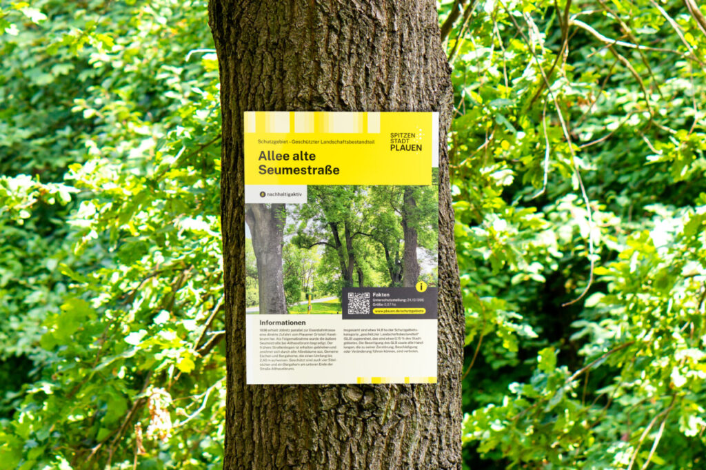 Nachrichten Vogtland