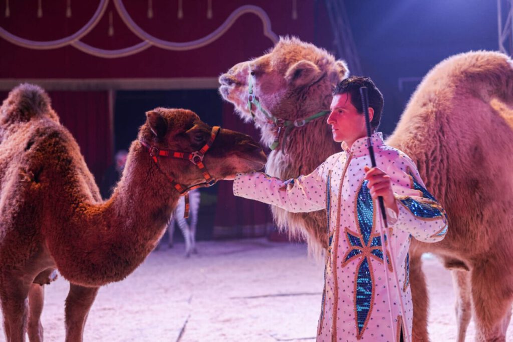 Vogtlandstreicher Nachrichten Vogtland
