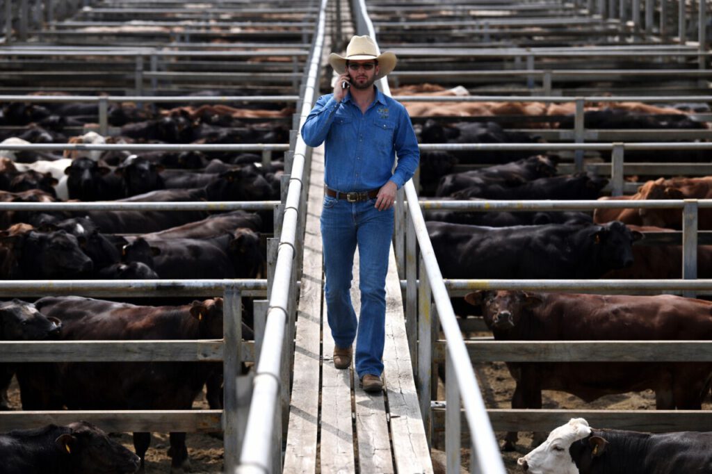 Nachrichten Vogtland