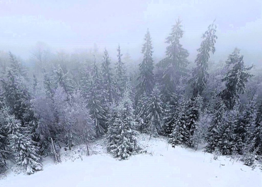 Nachrichten Vogtland