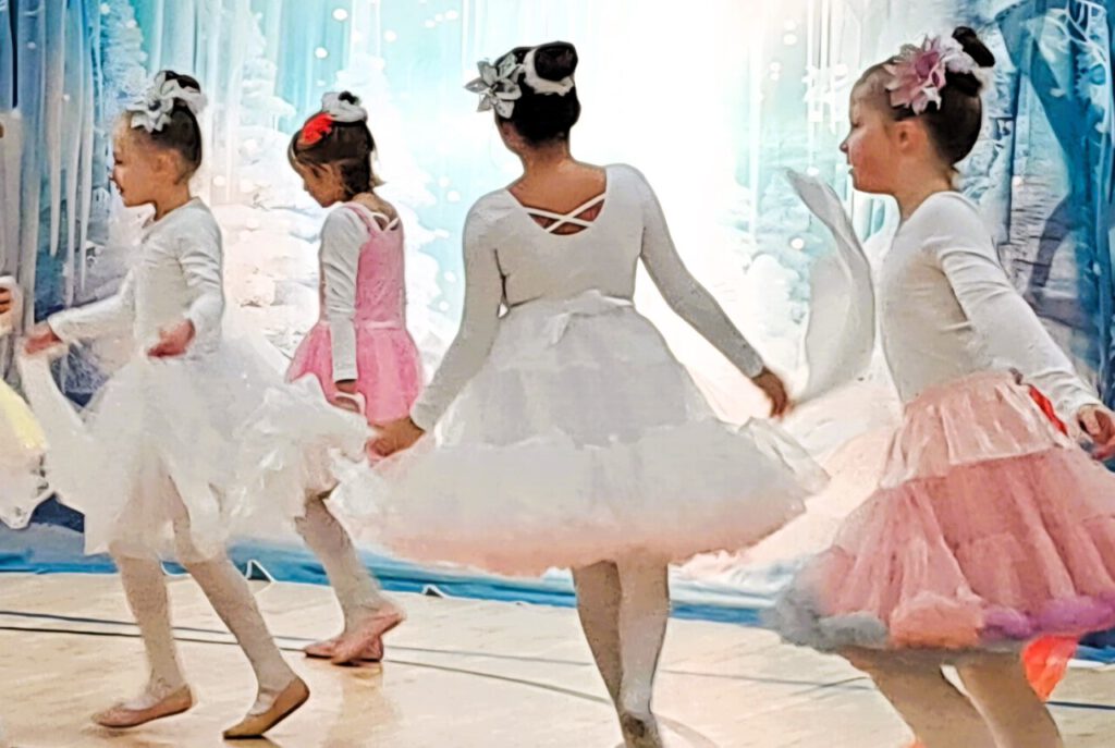 Vogtlandstreicher Nachrichten Vogtland