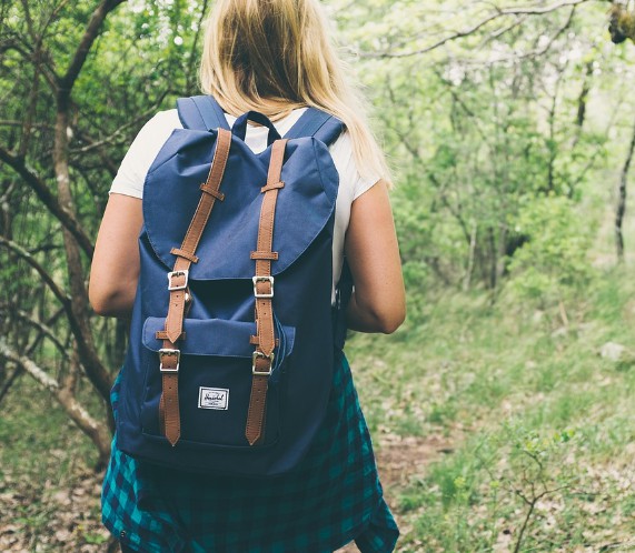 Nachrichten Vogtland