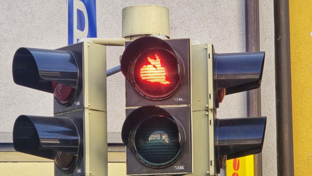 Nachrichten Vogtland