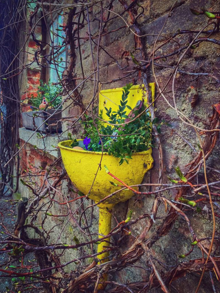 Nachrichten Vogtland