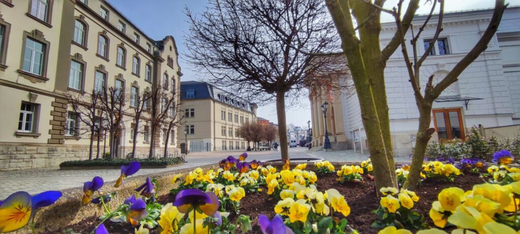 Nachrichten Vogtland