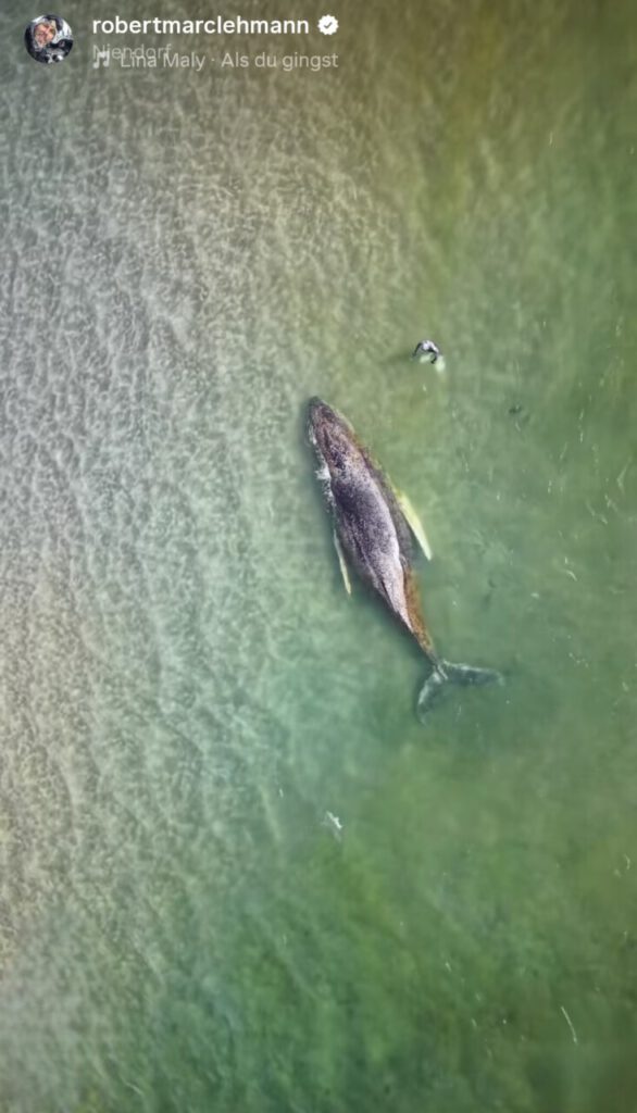 Nachrichten Vogtland