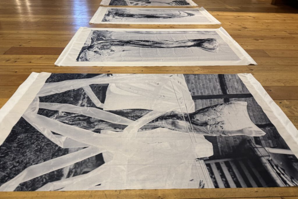 Vogtlandstreicher Nachrichten Vogtland