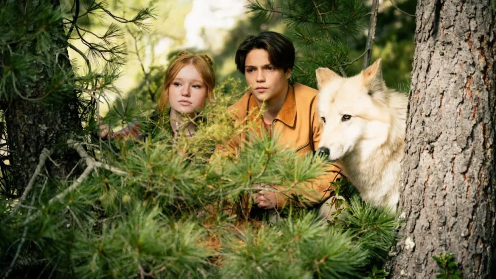 Nachrichten Vogtland